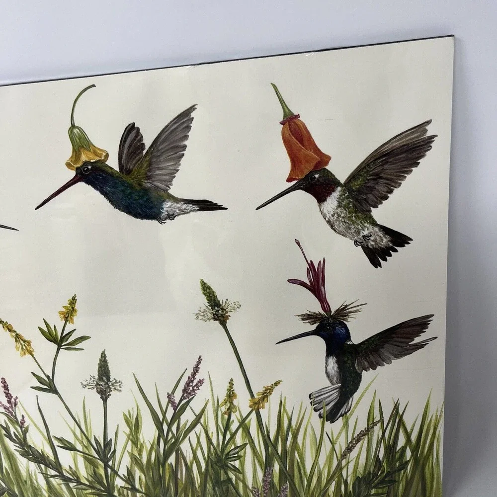 Hester & Cook Hummingbirds Pad of 24 Paper Placemats 18.5 x 12.5 Designed In USA